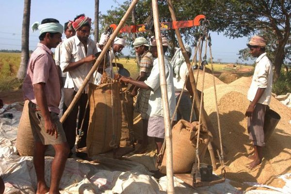 Around Rs 1,082 crore paid to 41,084 farmers for procurement of paddy on MSP