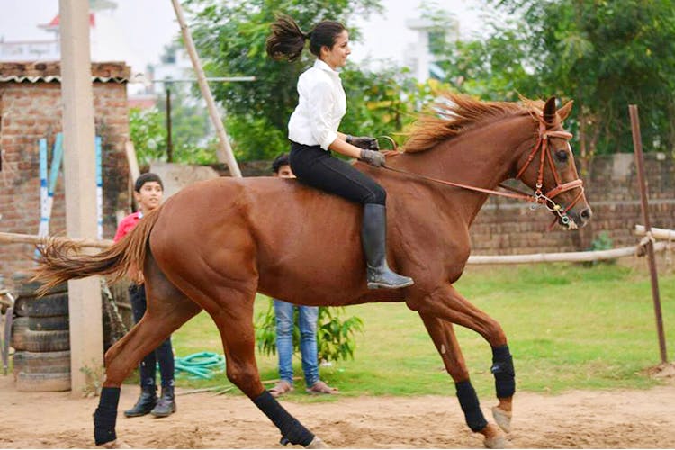 horse show 2021