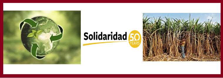 An Enterprising Initiative towards Securing the Future of Sustainability in Sugarcane Supply Chain sector in India
