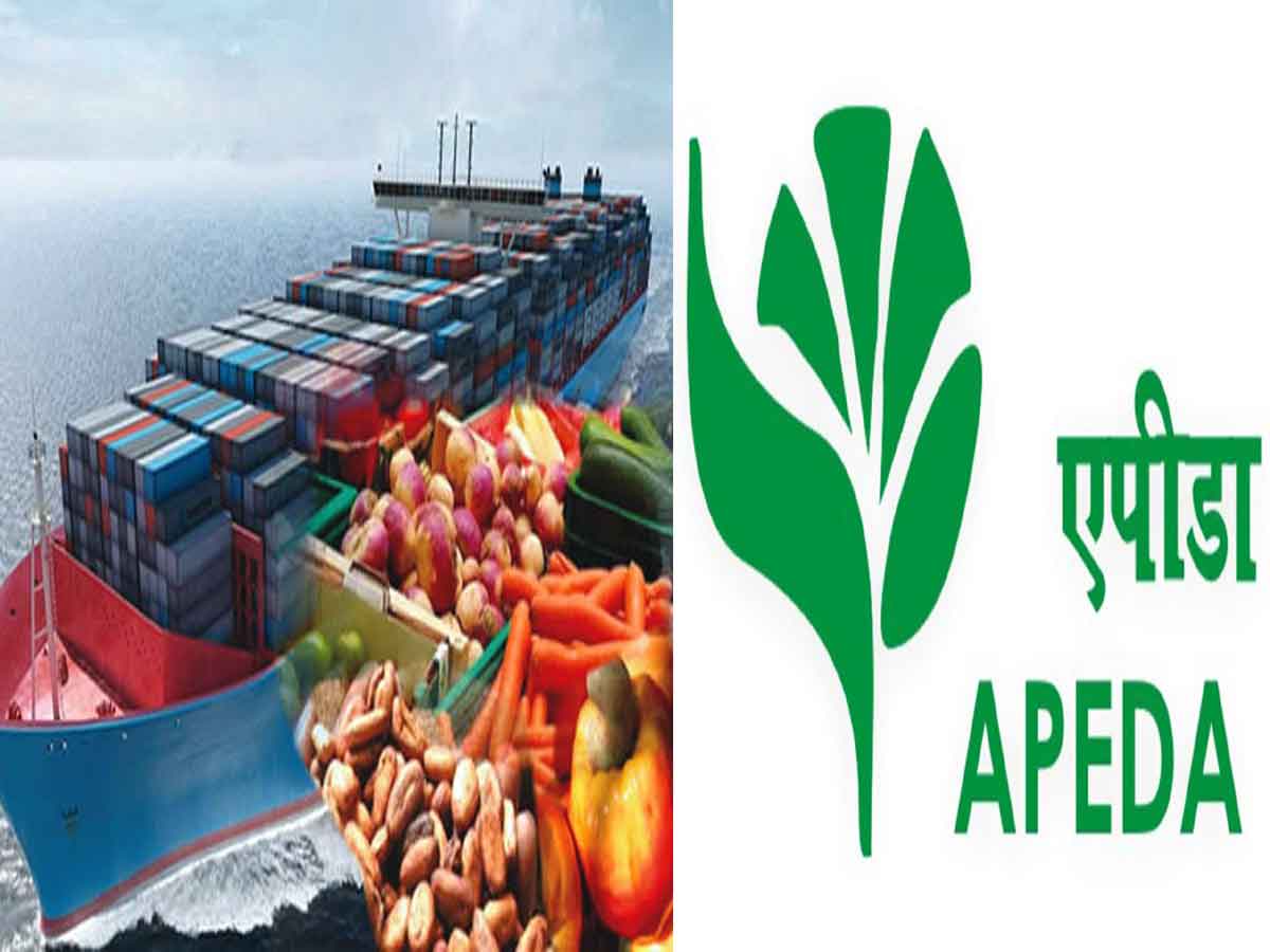 APEDA inks MoU with University of Agricultural Science, Bangalore for boosting agri-exports
