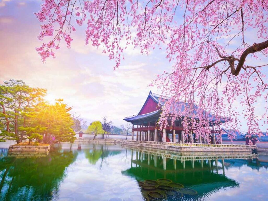 Korea Tourism Organization brings Korea to Indian homes through KXperience..