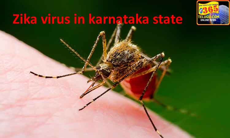 Zika-virus-in-karnataka