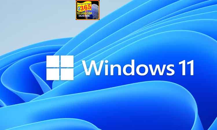 Windows11_365